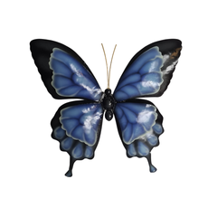Ulysses Butterfly Wall Hanging 50 cm