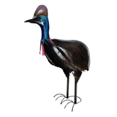 Cassowary 60 cm
