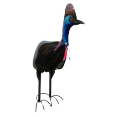 Cassowary 60 cm