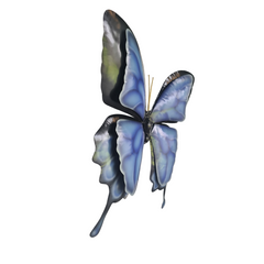 Ulysses butterfly small wall hanging 35 cm