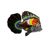 Angel fish Wall decoration 40 cm