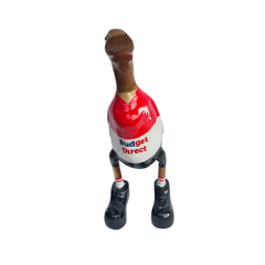 Football duck 25 cm Dolphins