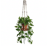 Macrame hanging plant holder 100 cm drop 30 cm tray