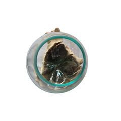 Glass Single Jar 10 cm