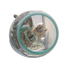 Glass Single Jar 20 cm