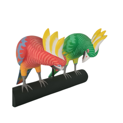 Parrot pair on perch looking down 30 cm