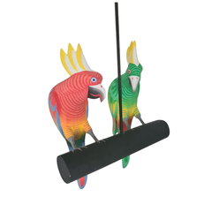 Parrots pair on perch 30 cm