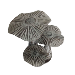 Mushrooms wooden 30 cm