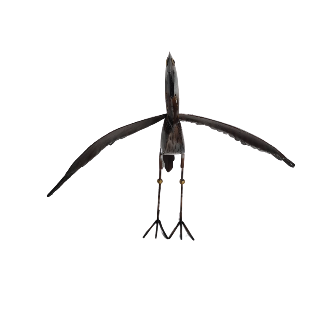 Curlew wings out 50 cm