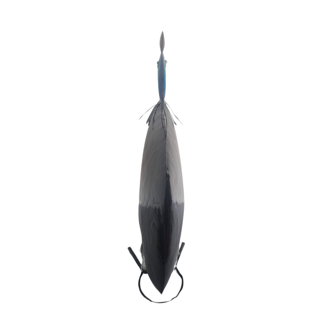 Cassowary 60 cm