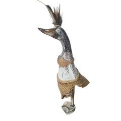 Duck Fancy Dress 25 cm