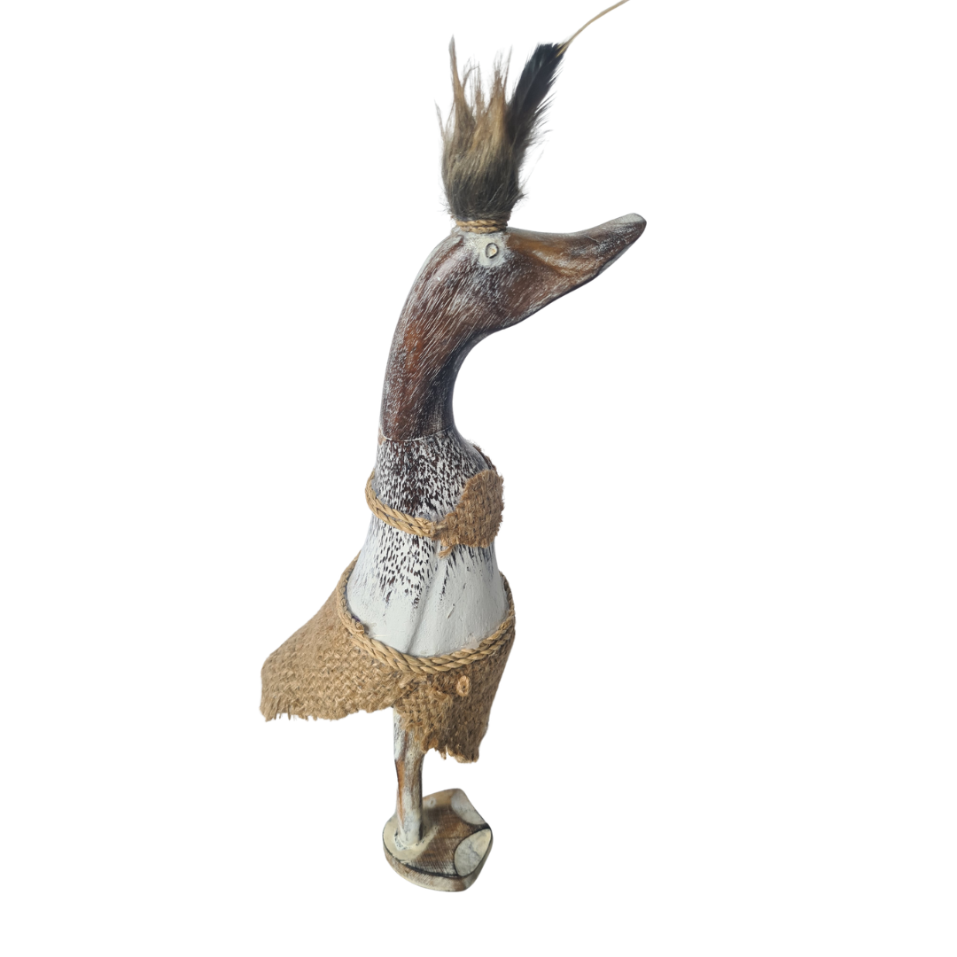 Duck Fancy Dress 25 cm