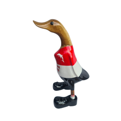 Football duck 25 cm Dolphins