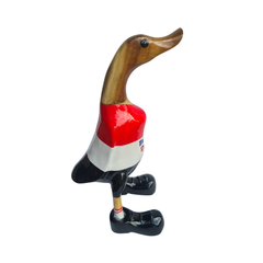 Football duck 25 cm Dolphins