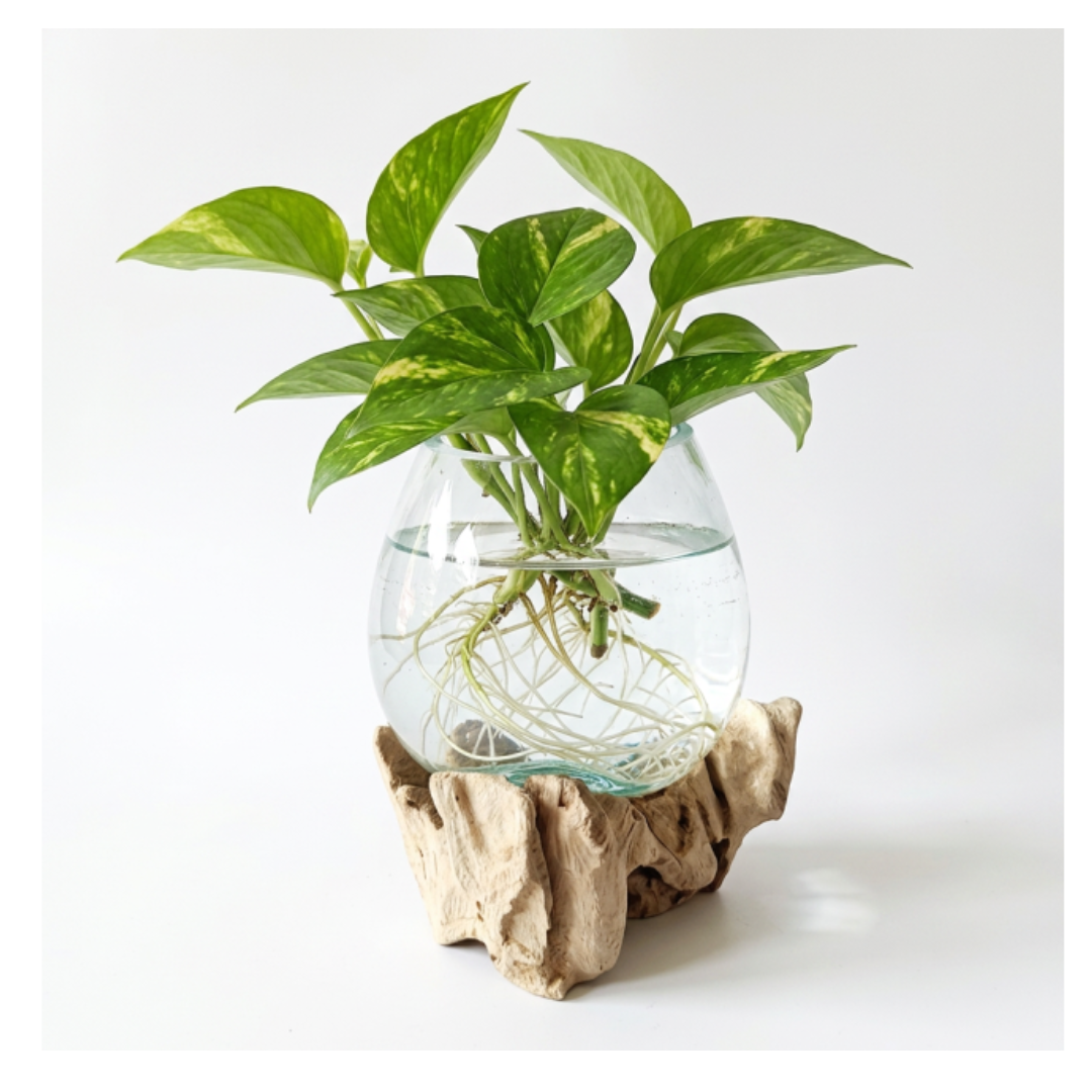 Glass Full Single Jar 10 cm