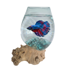Glass Full Single Jar 25 cm