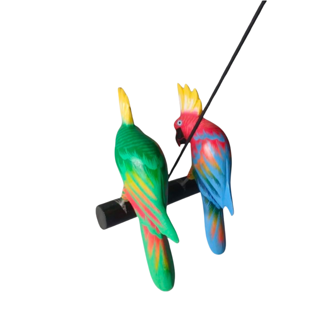 Parrot pair on perch looking down 30 cm