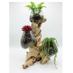 3 glass jars 12 cm dia on wood stand 40 cm high